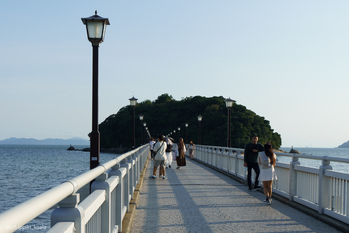 竹島側から(僕達は結局途中で退散)