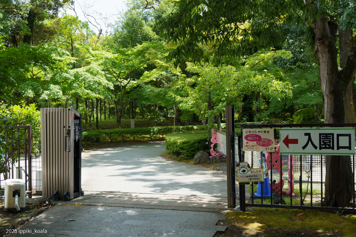 かわいいメリーゴーランド