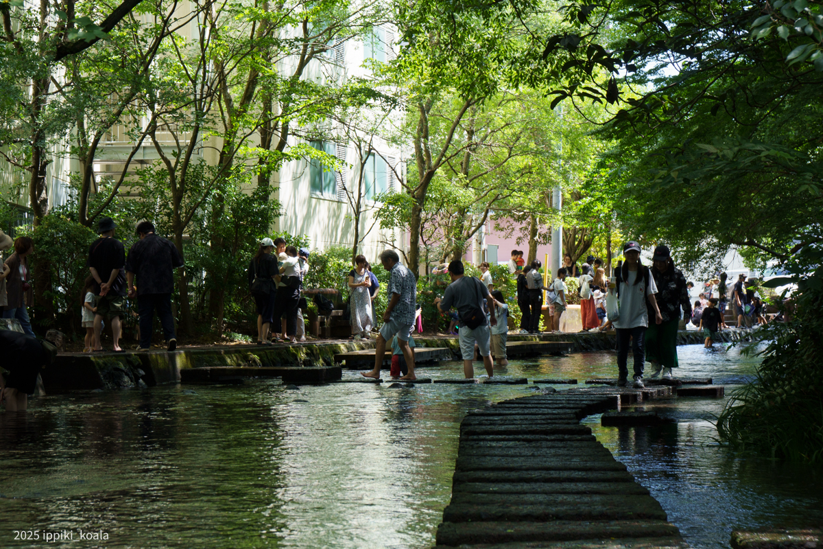 老若男女問わず水でくつろいでいた