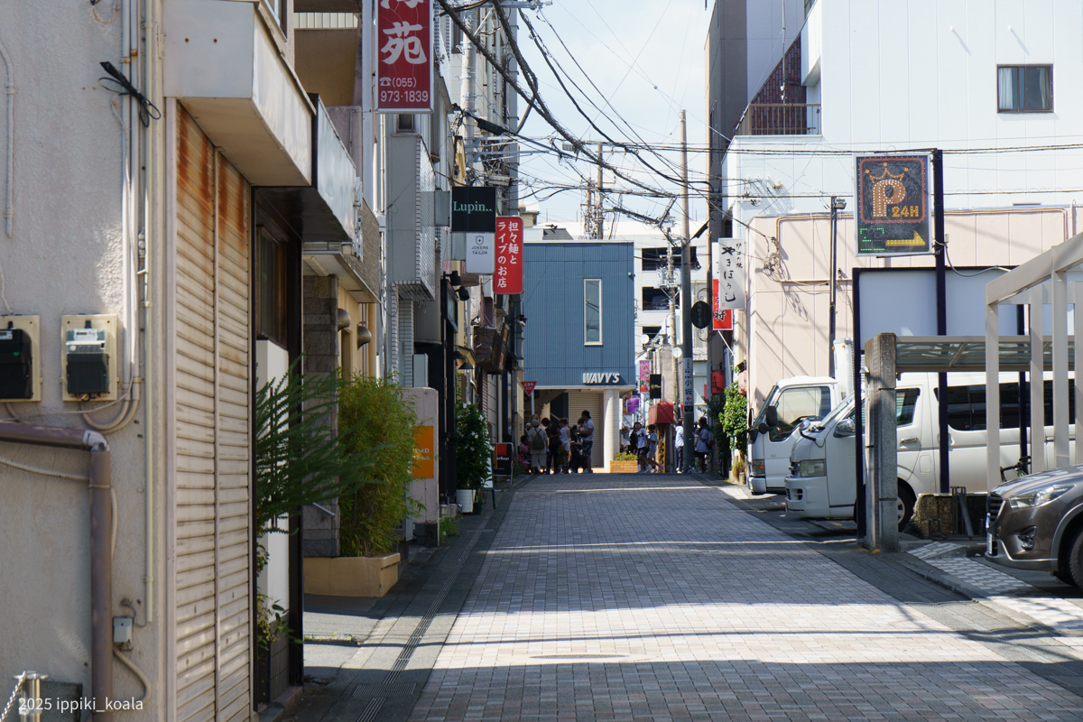 スナック街もあるけれどどこに言っても水路がある