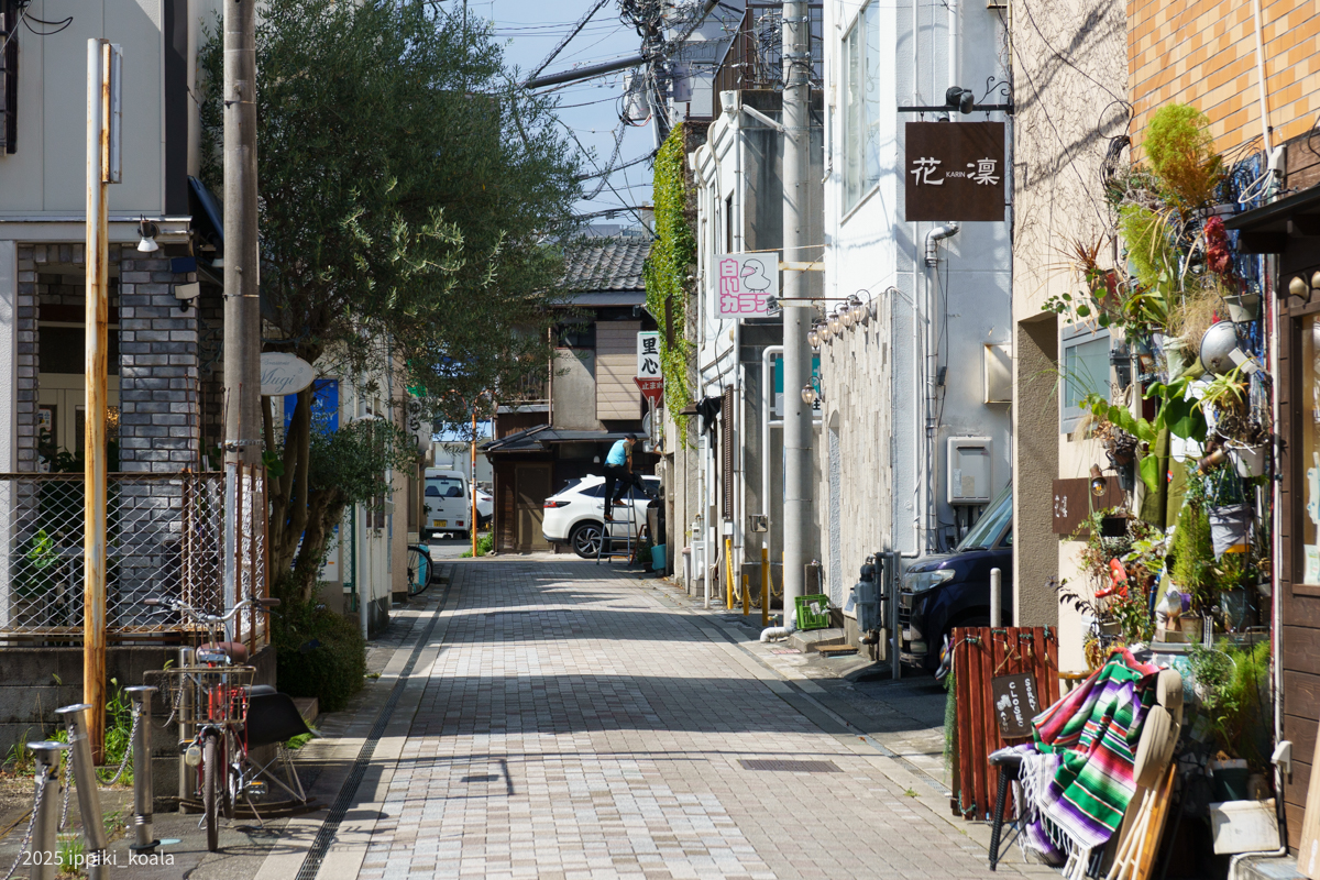 御殿川の方も歩きました