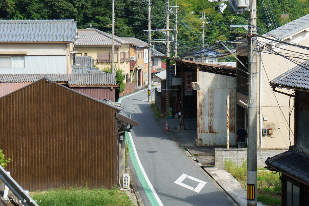 古くからの建物が密集しているあたり