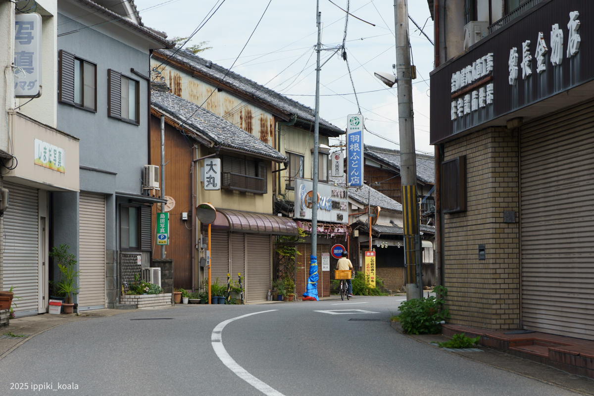 金沢牧場?が昔下市にあったんですかね