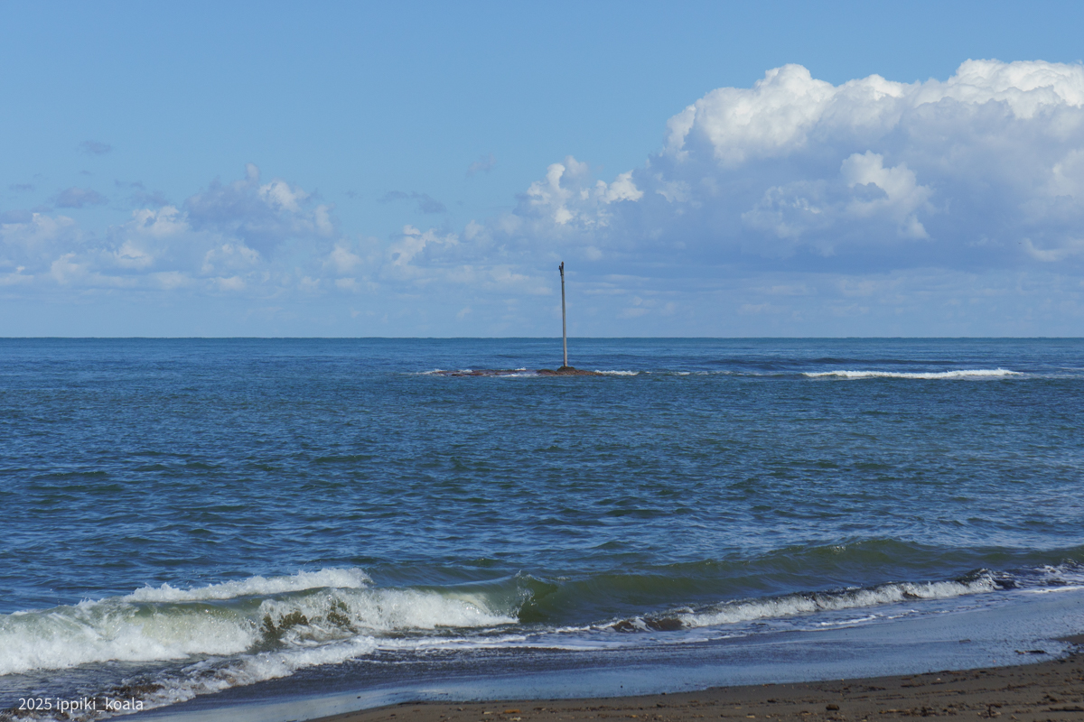 
本当に電柱だけがぽつんと立っているので電柱島
