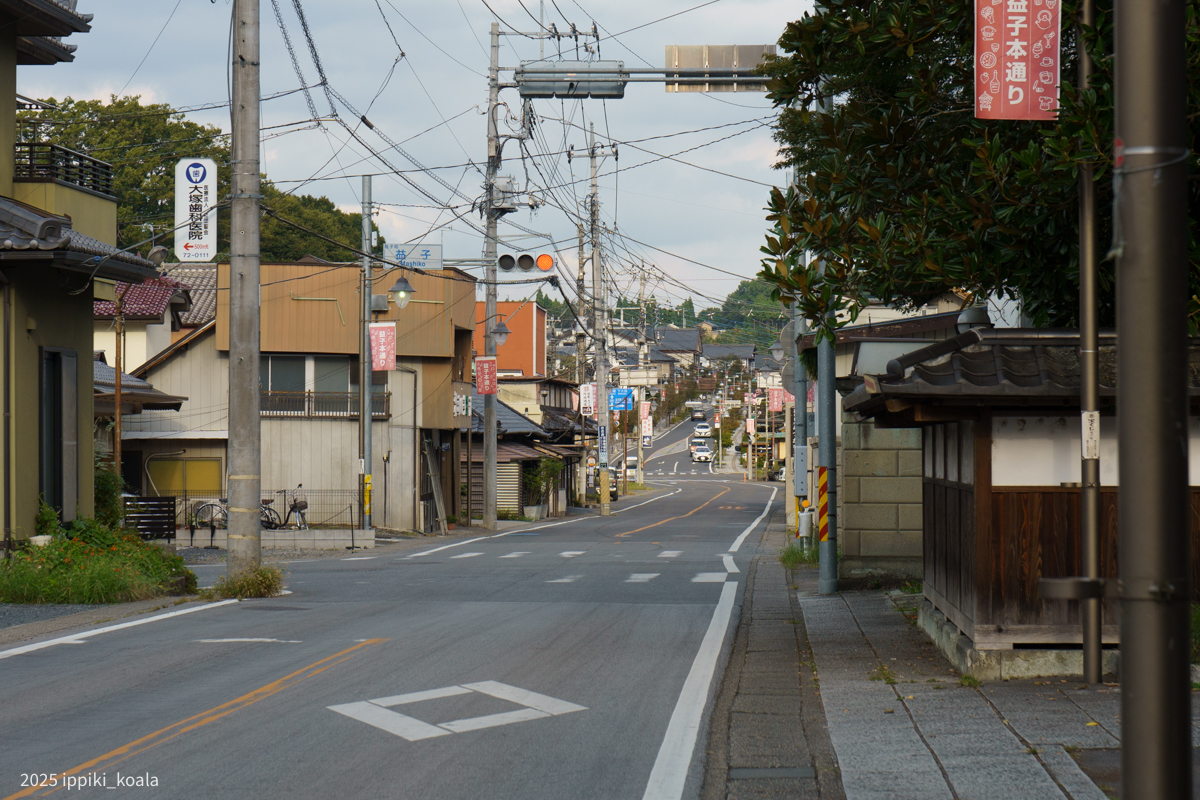 奥に見えるのが益子のメインストリート(城内坂通り)