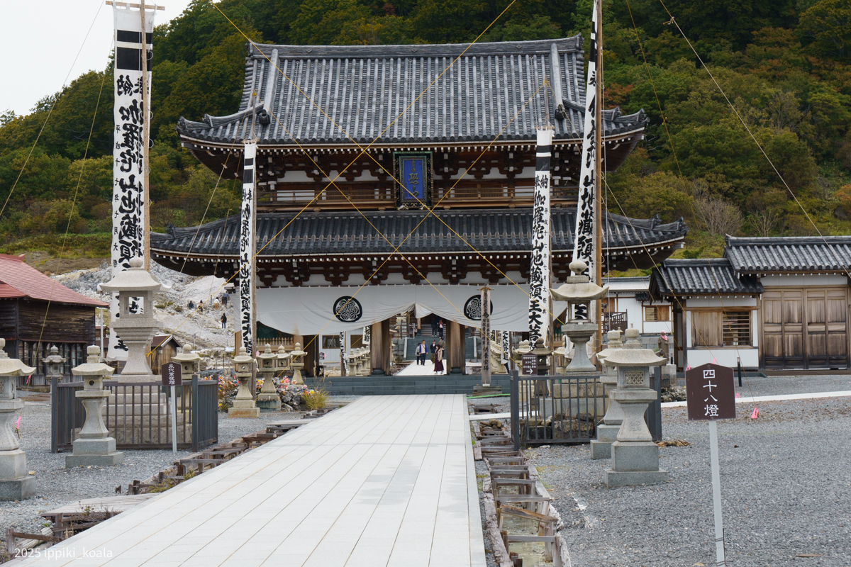 入ってみるとこんな感じ