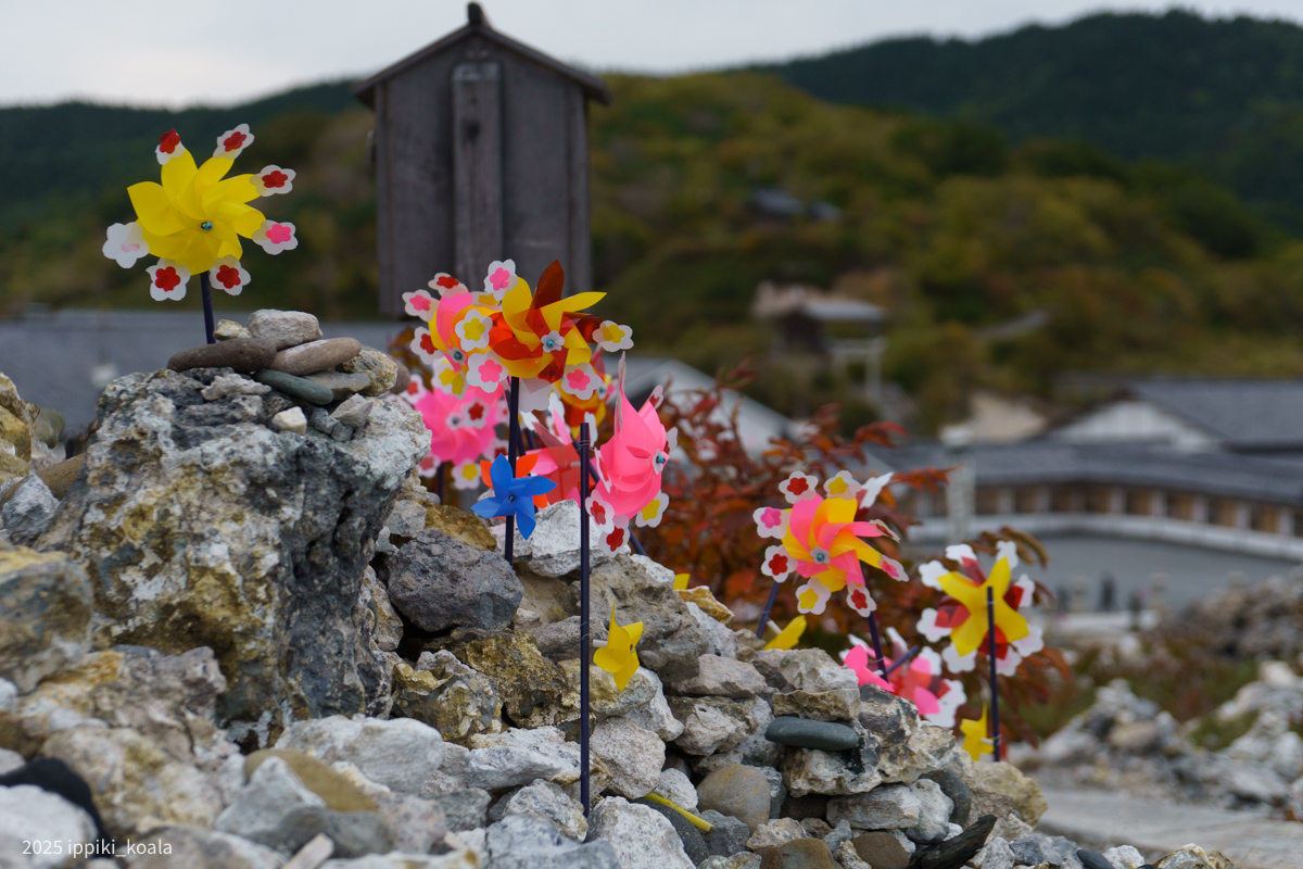 色が非常に映えてしまう