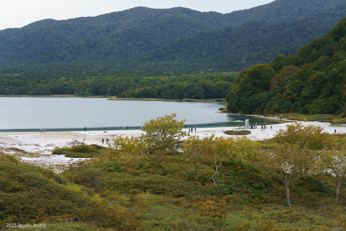 向こうに見えるのが天国である極楽浜