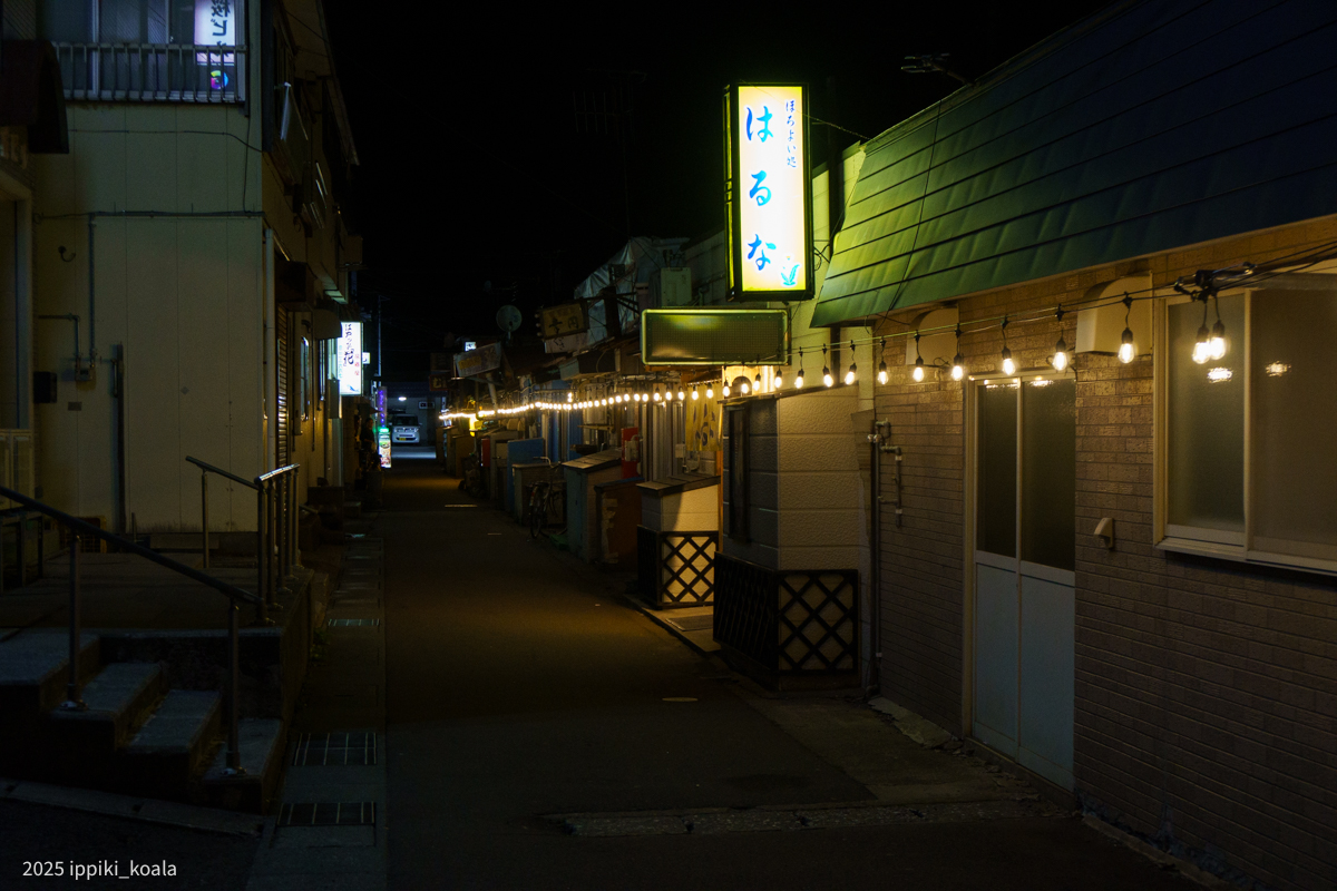 どの店も賑やかだった(入れなかった)