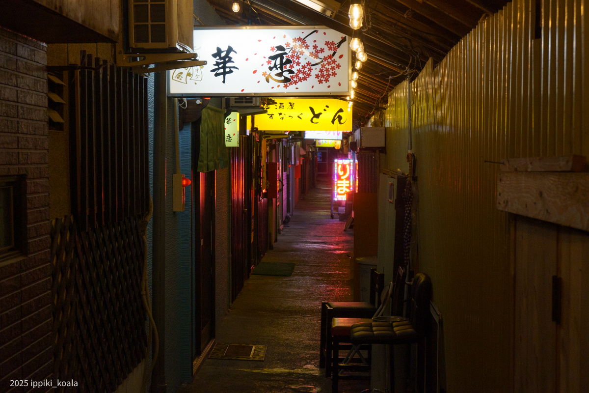 カラオケが聞こえたり