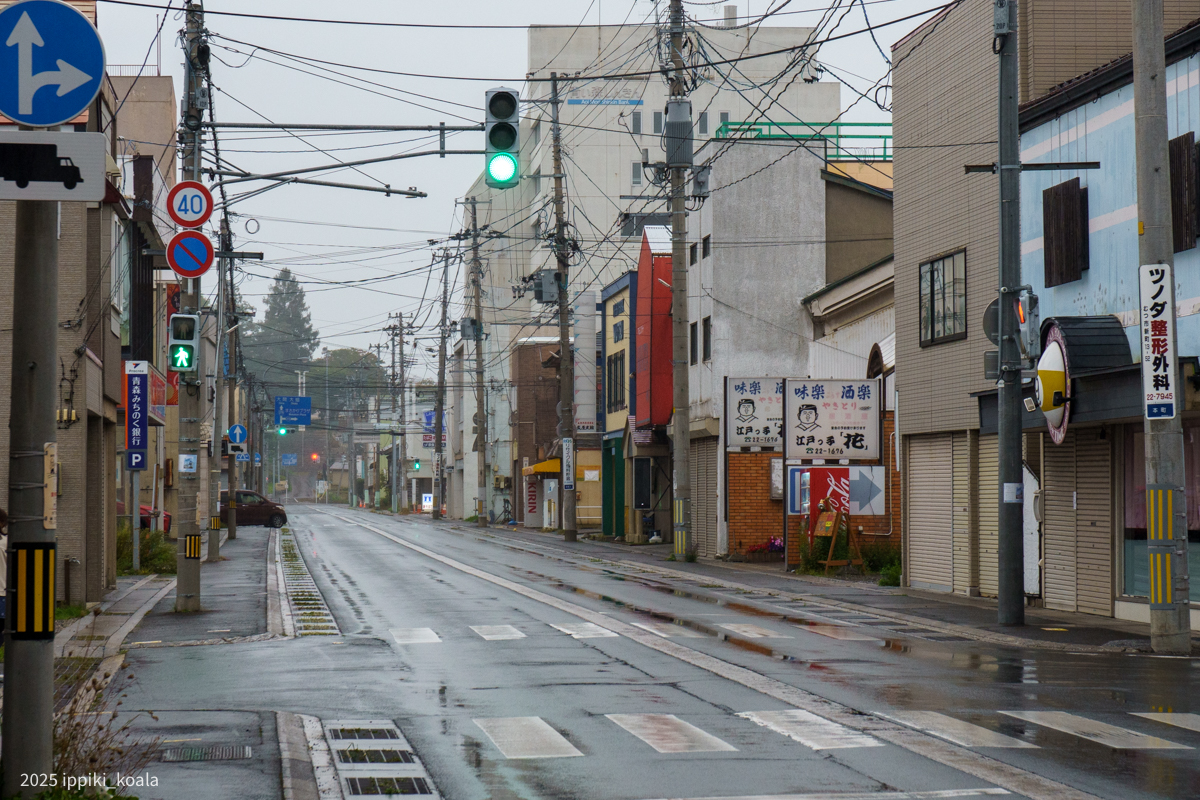 田名部のメインストリートはホテルや飲食店が並んでいた