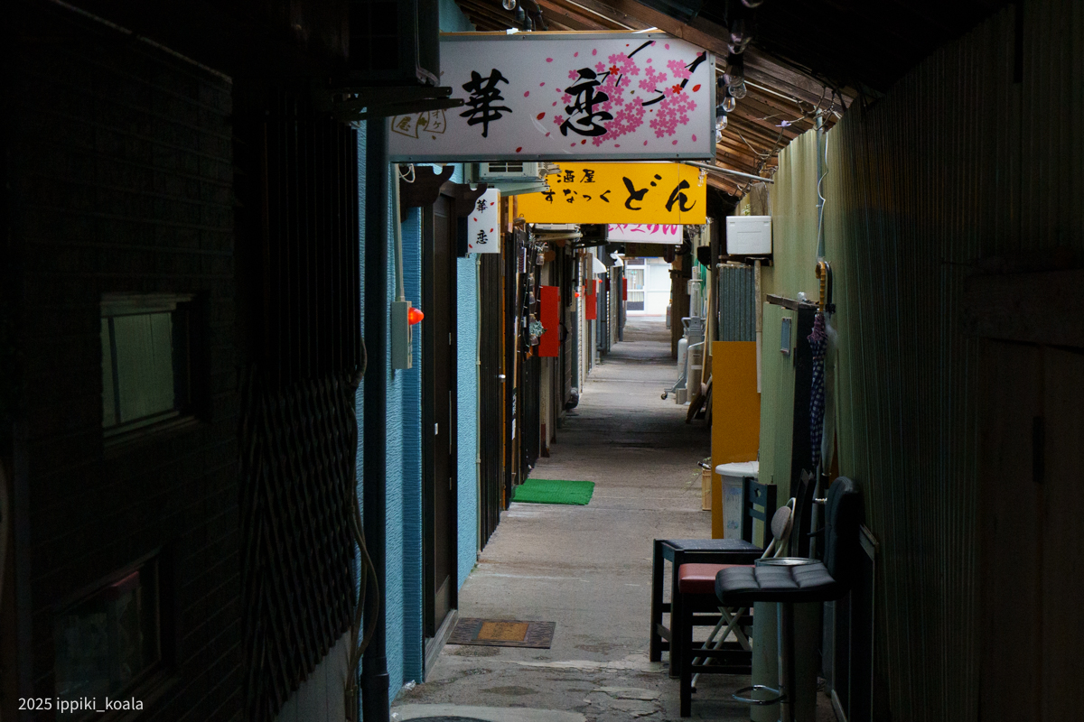 朝は静かでした