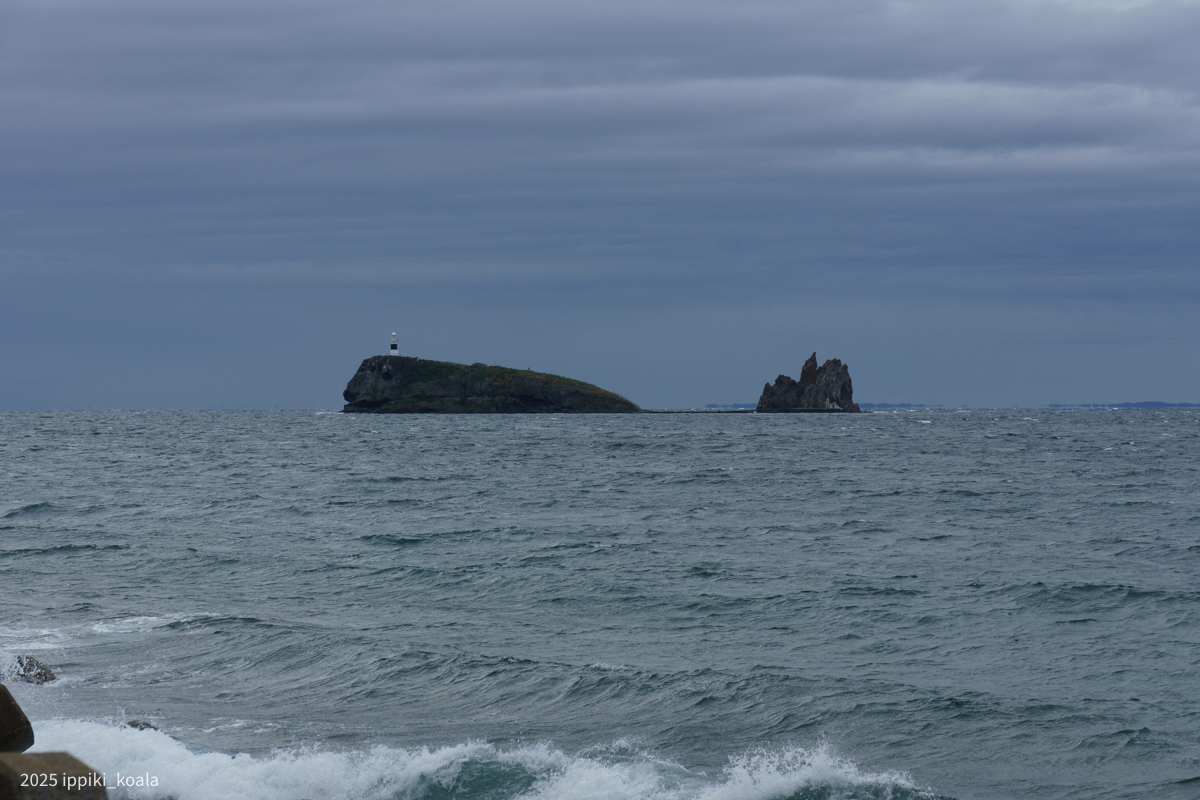 自分にはクジラにしか見えなかった鯛島(たいじま)