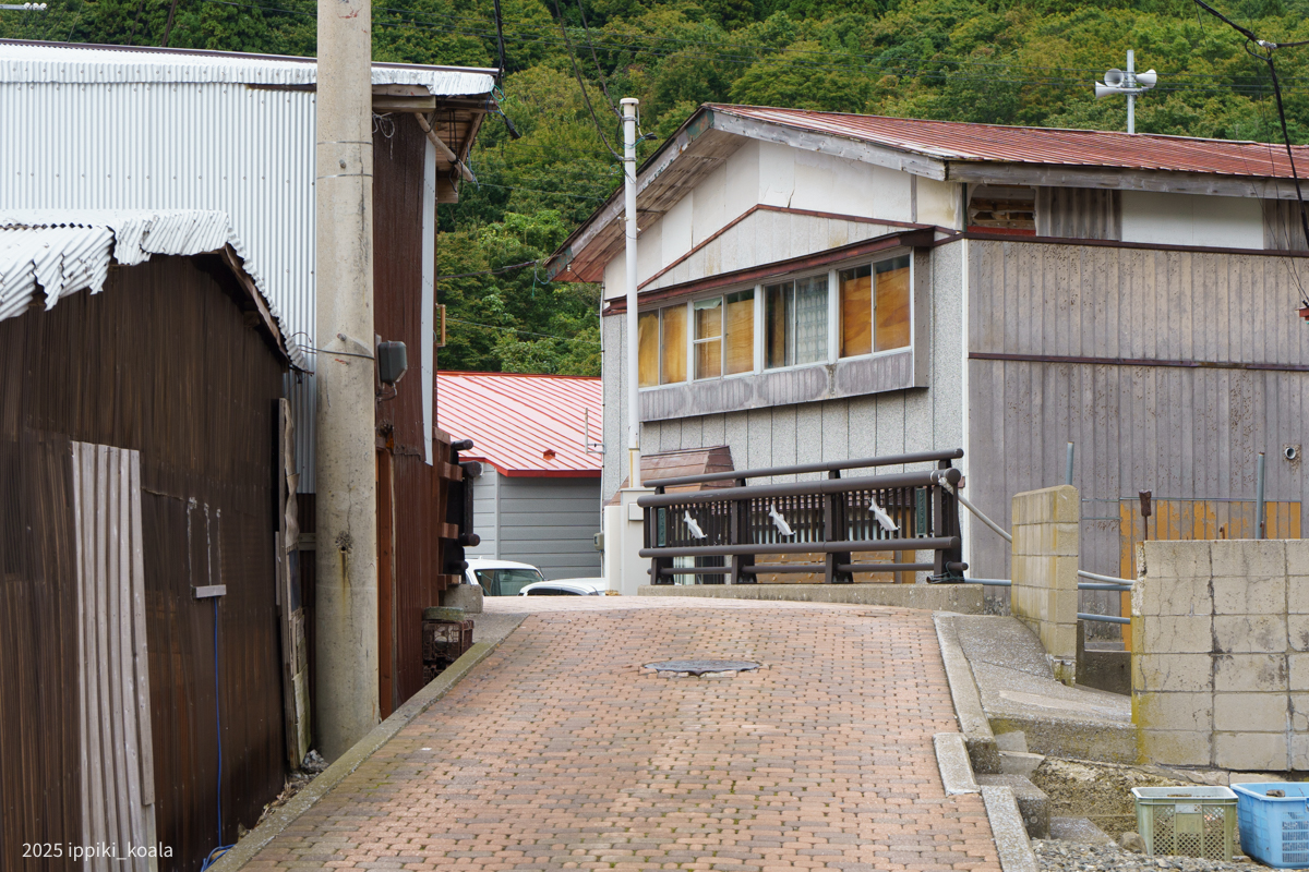 そんなことはどうでもよくて村を歩き始める