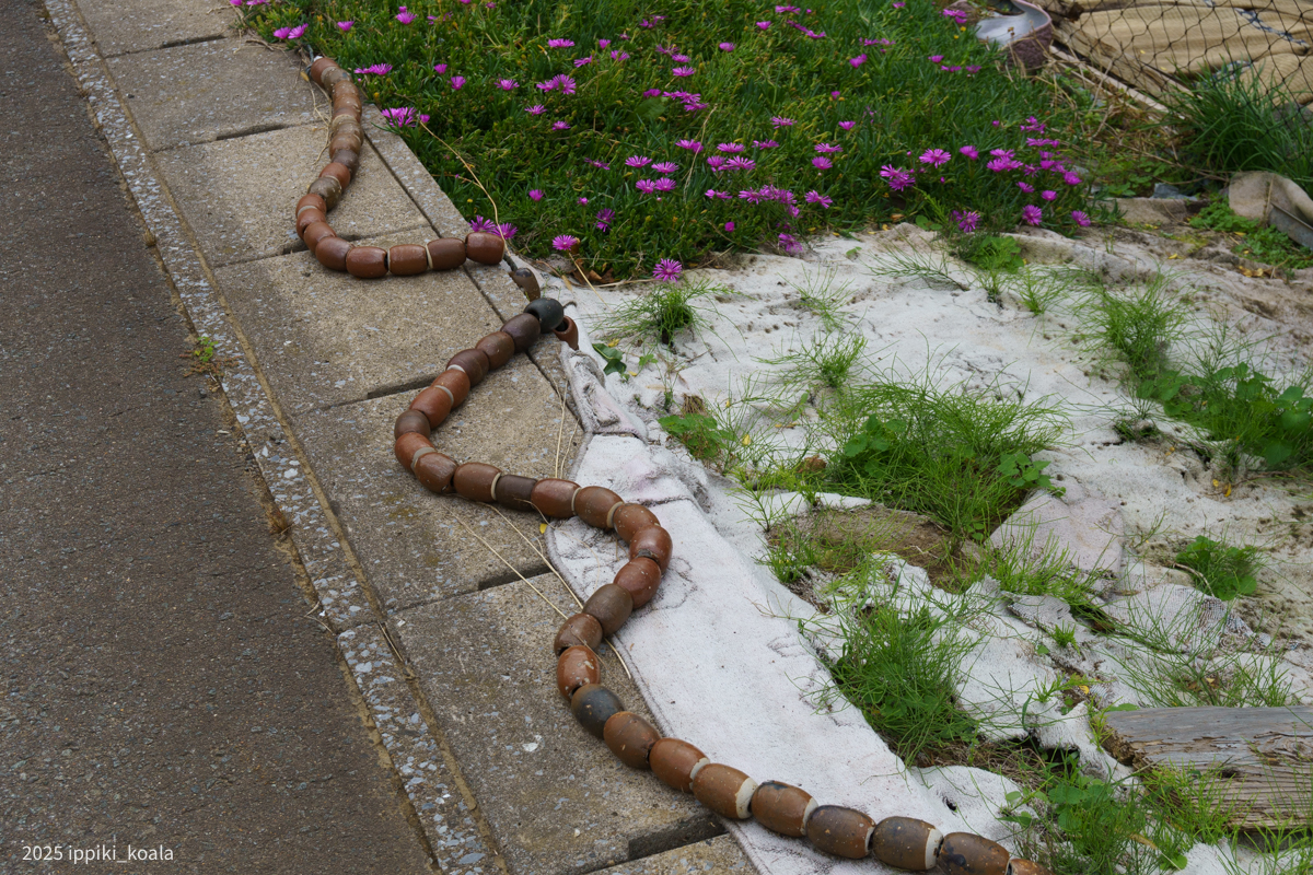 これは網に取り付けるおもしらしい