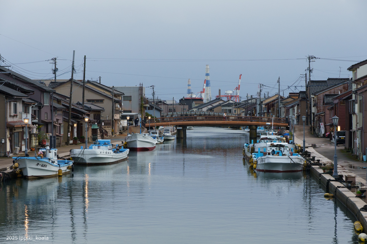 内川沿いの街並み