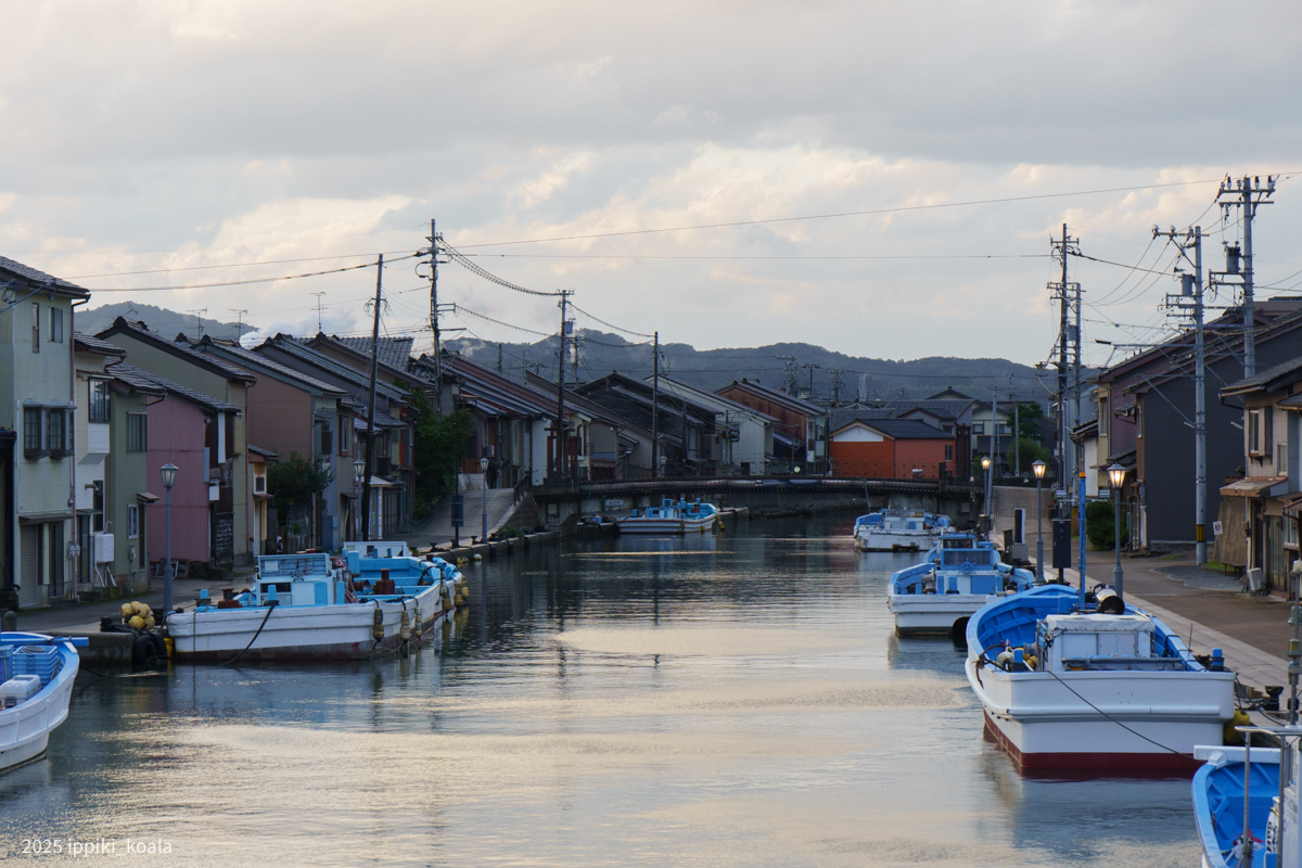 夕暮れが映えますね