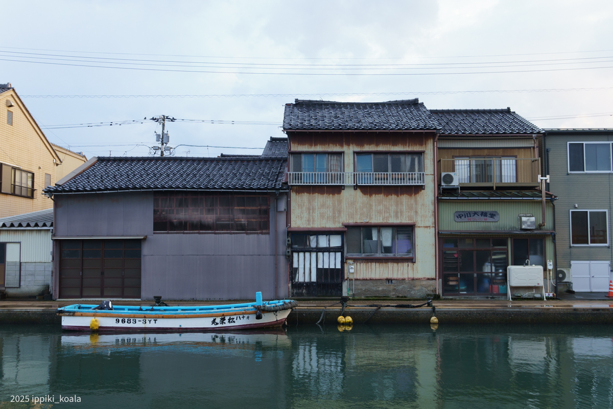 向こうから撮って来る妻と僕も映っている