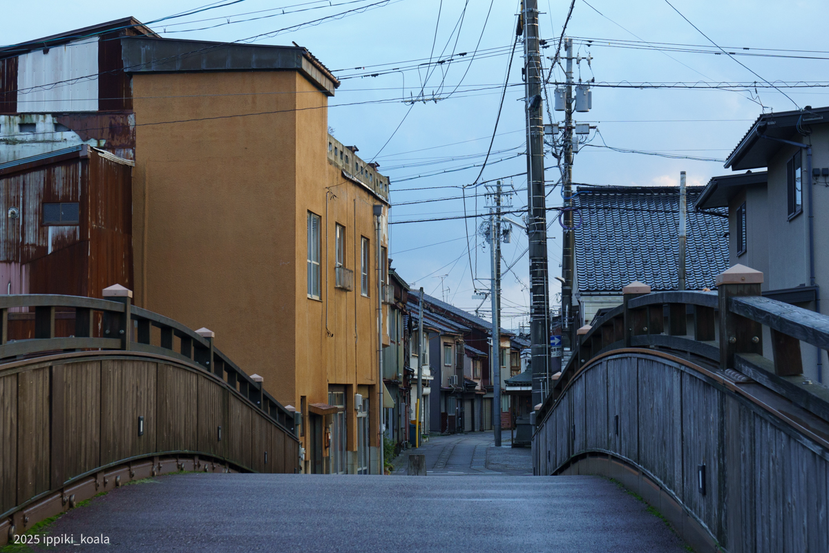 装飾がかわいい