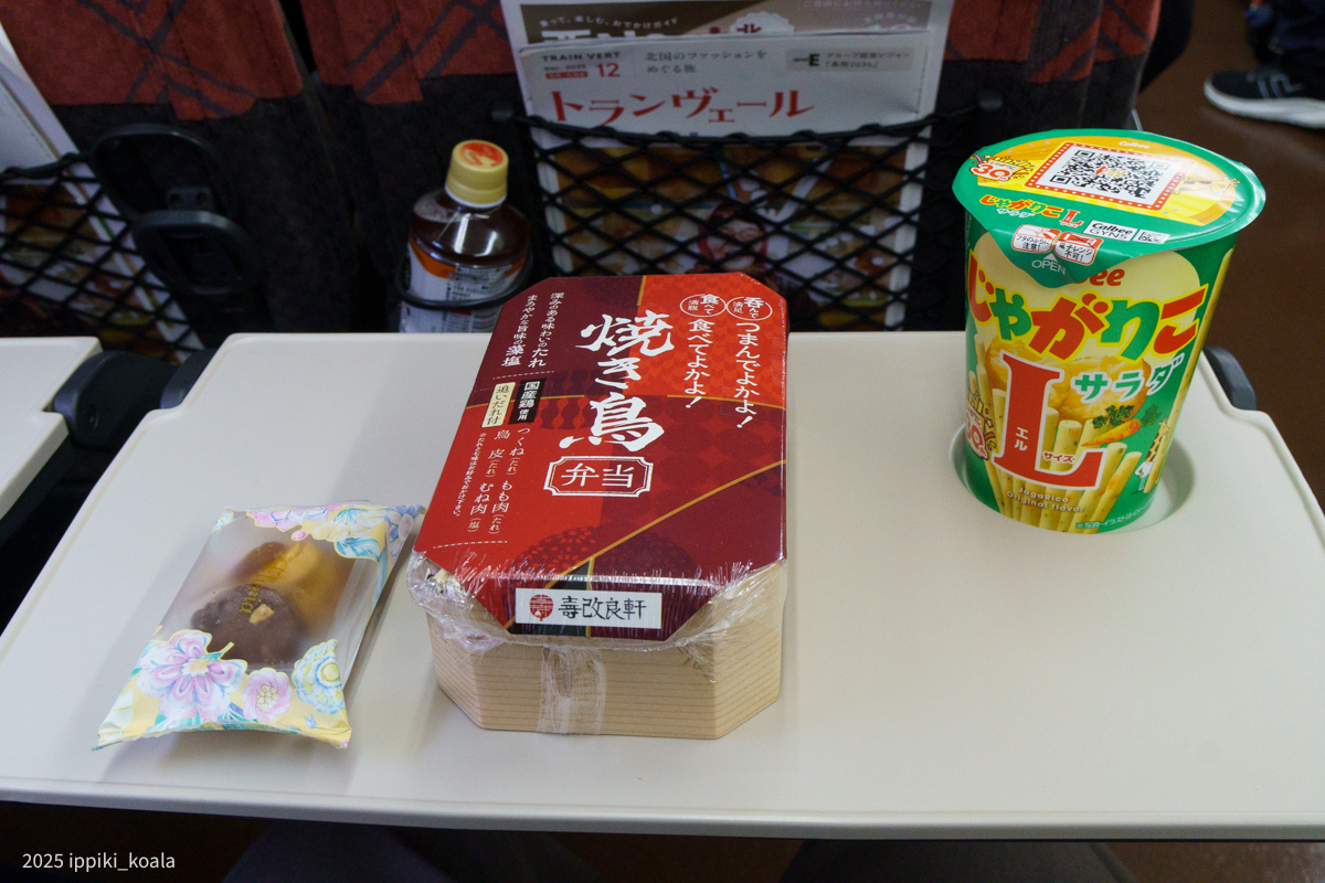 東京駅で駅弁を買って乗り込む