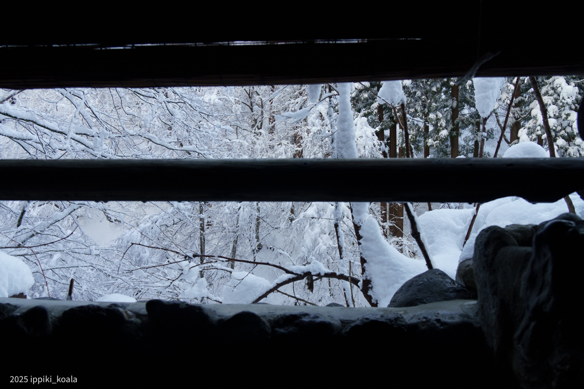 雪を見ながら温泉に浸かれます