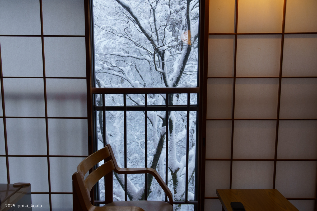 部屋からの雪景色