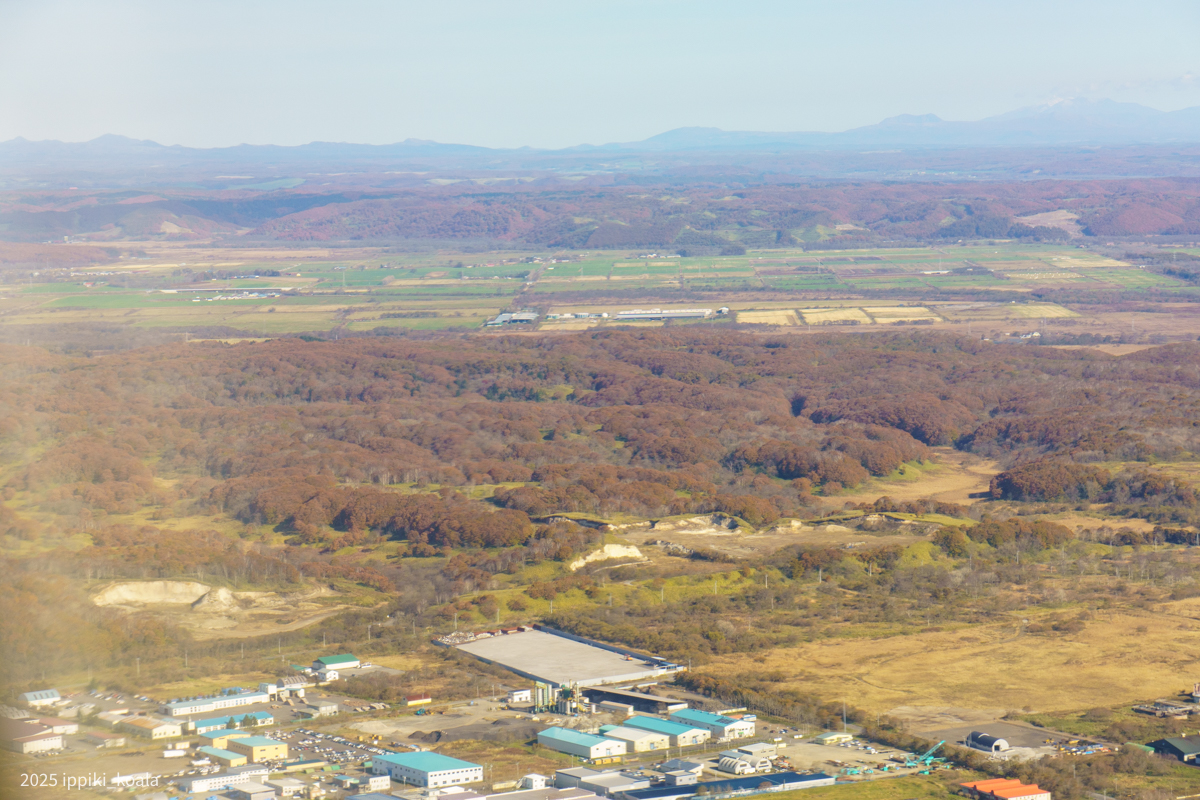どこも紅葉している