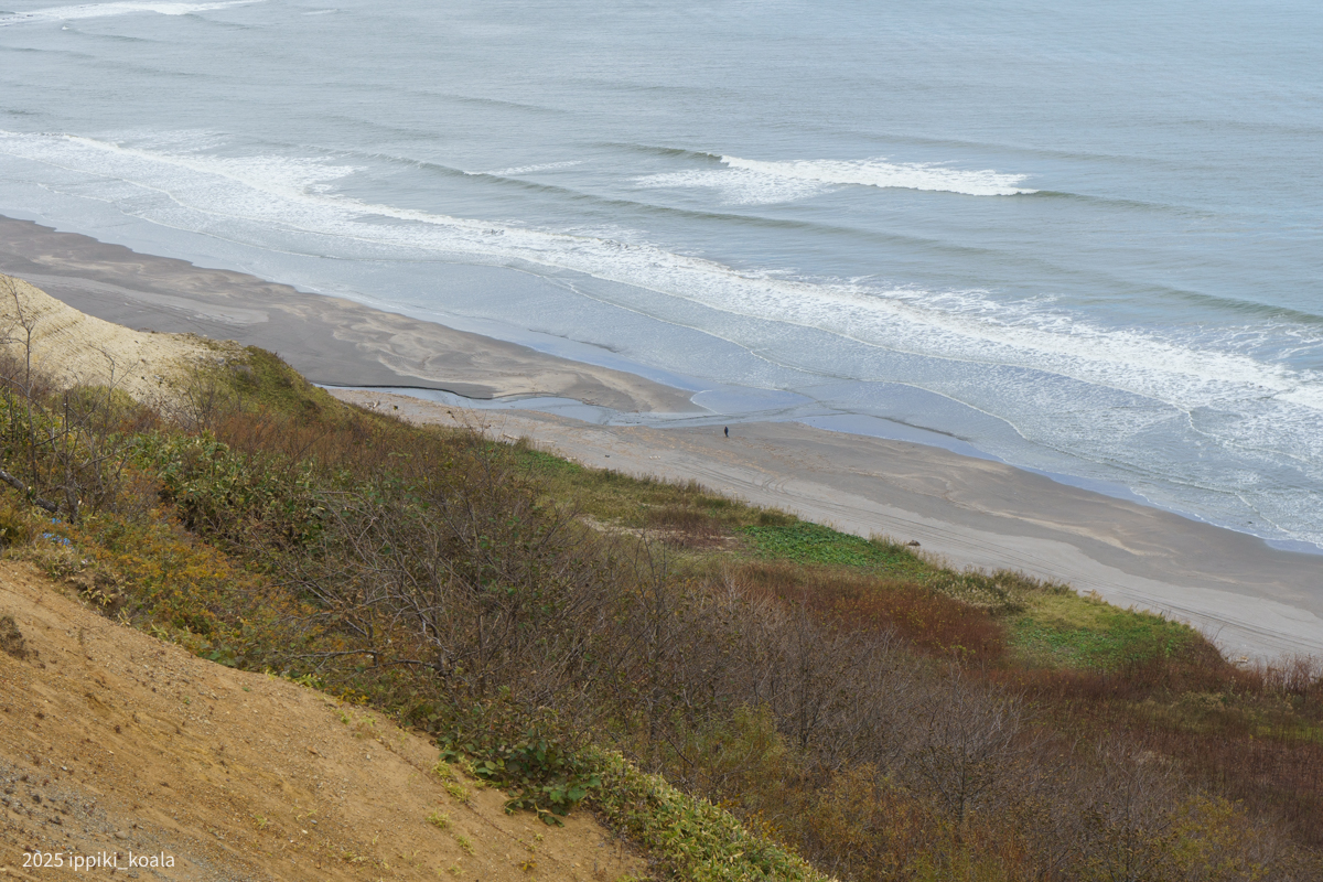 海岸を散策している人もいた