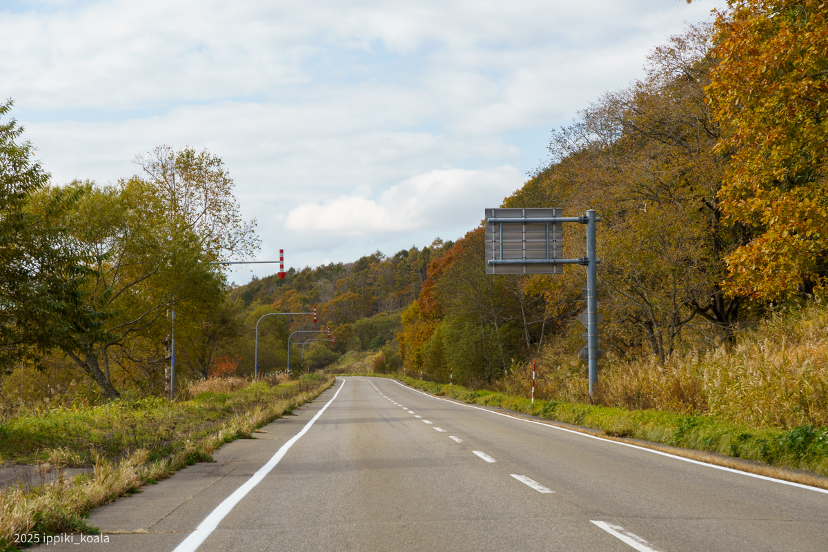 紅葉の中を向かいます
