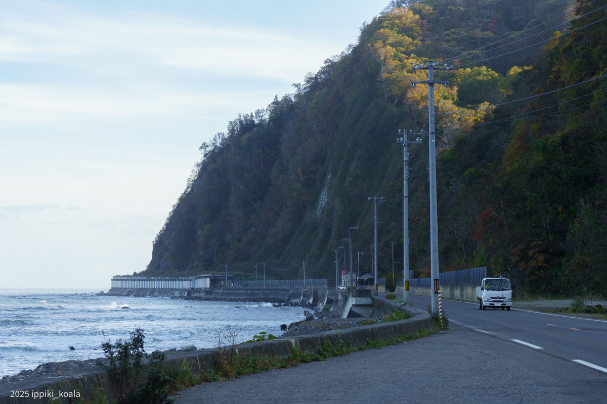 海岸沿いを走る