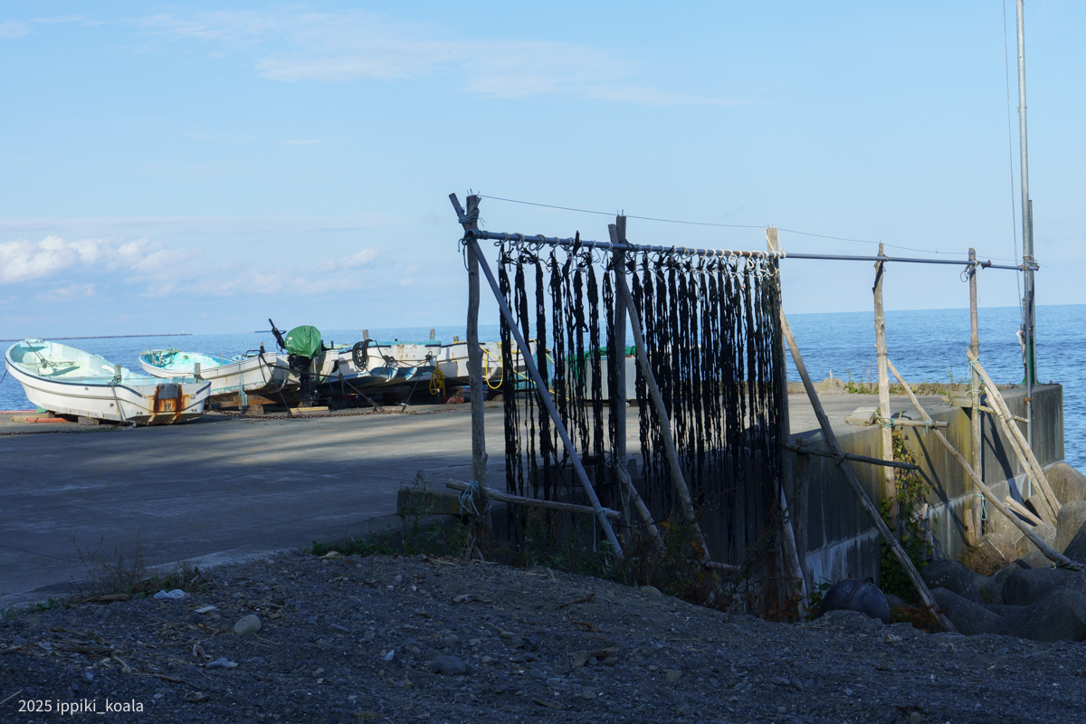 昆布がかけられている