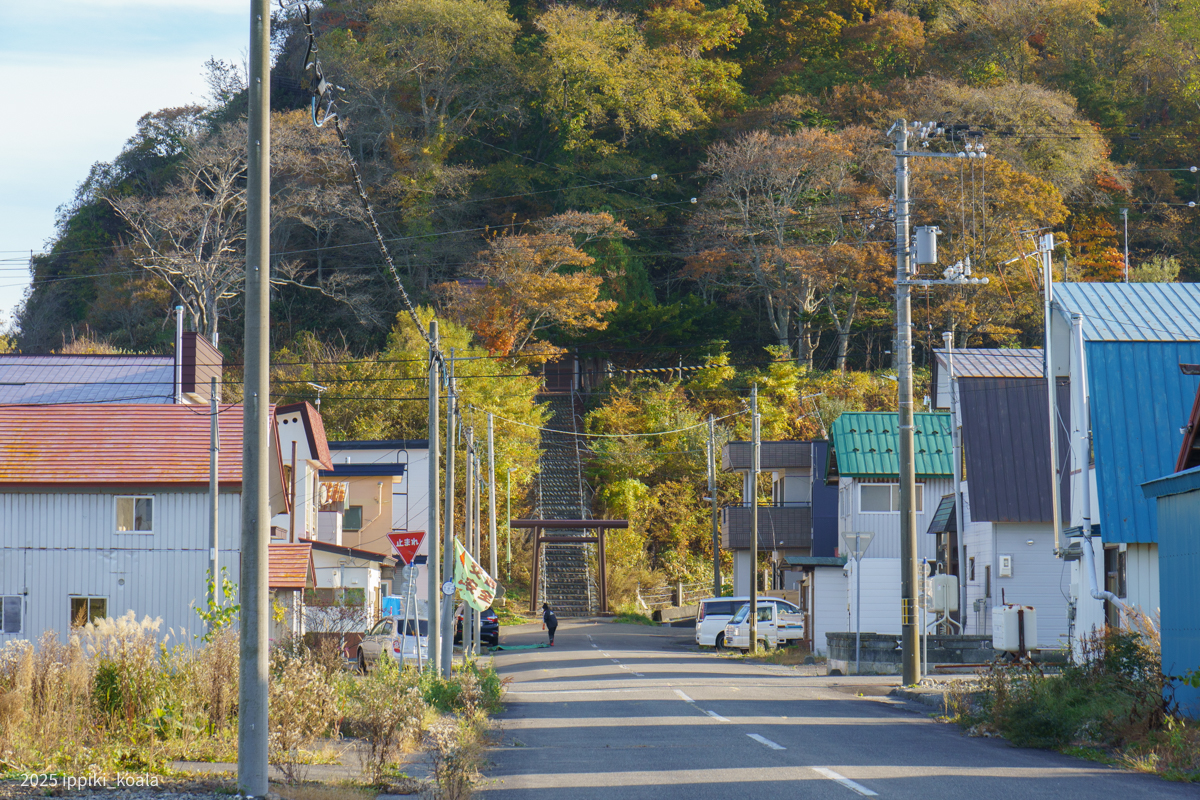 奥に見えるのが音調津神社