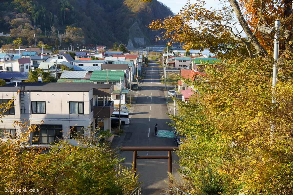 音調津神社からみた街並み