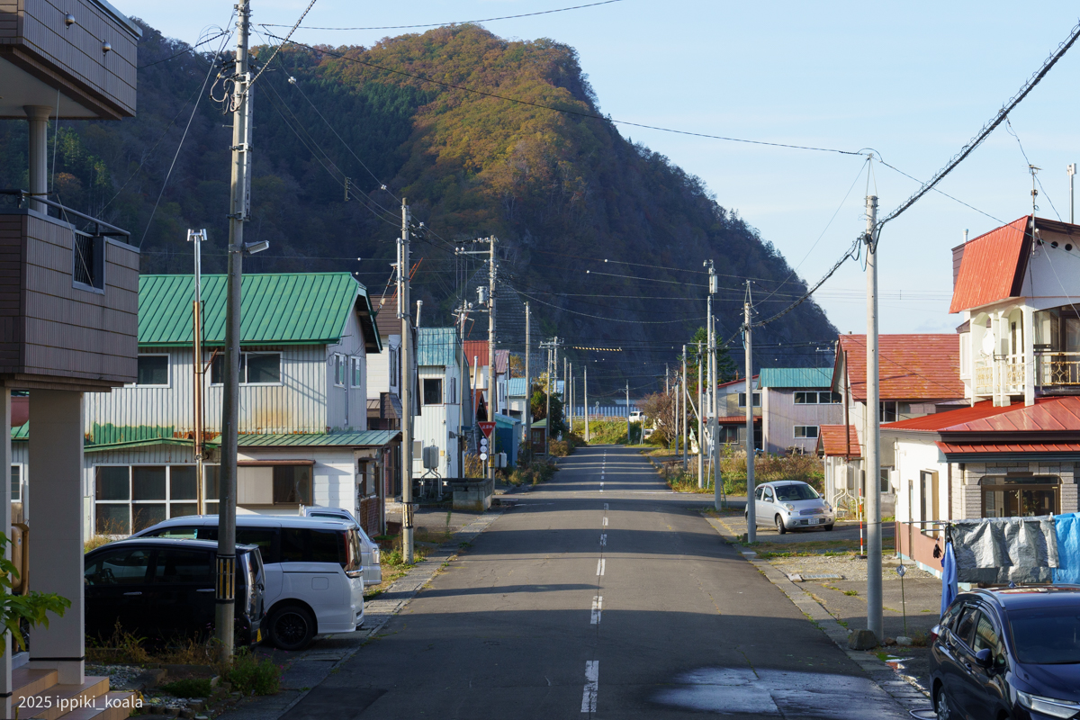 網を洗っていた跡