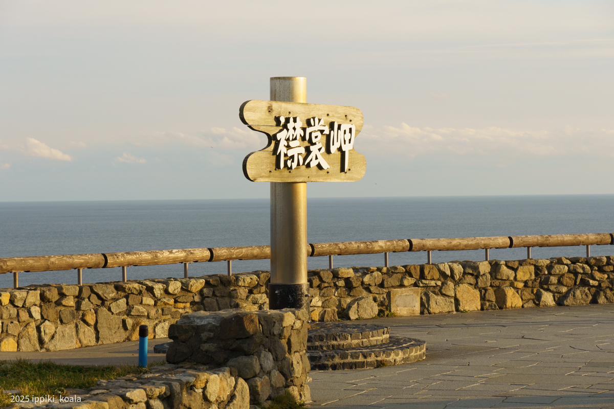 ここで写真を撮りました