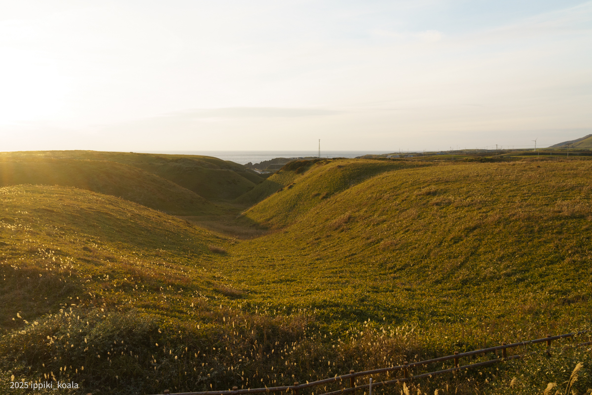 夕陽がきれいでした