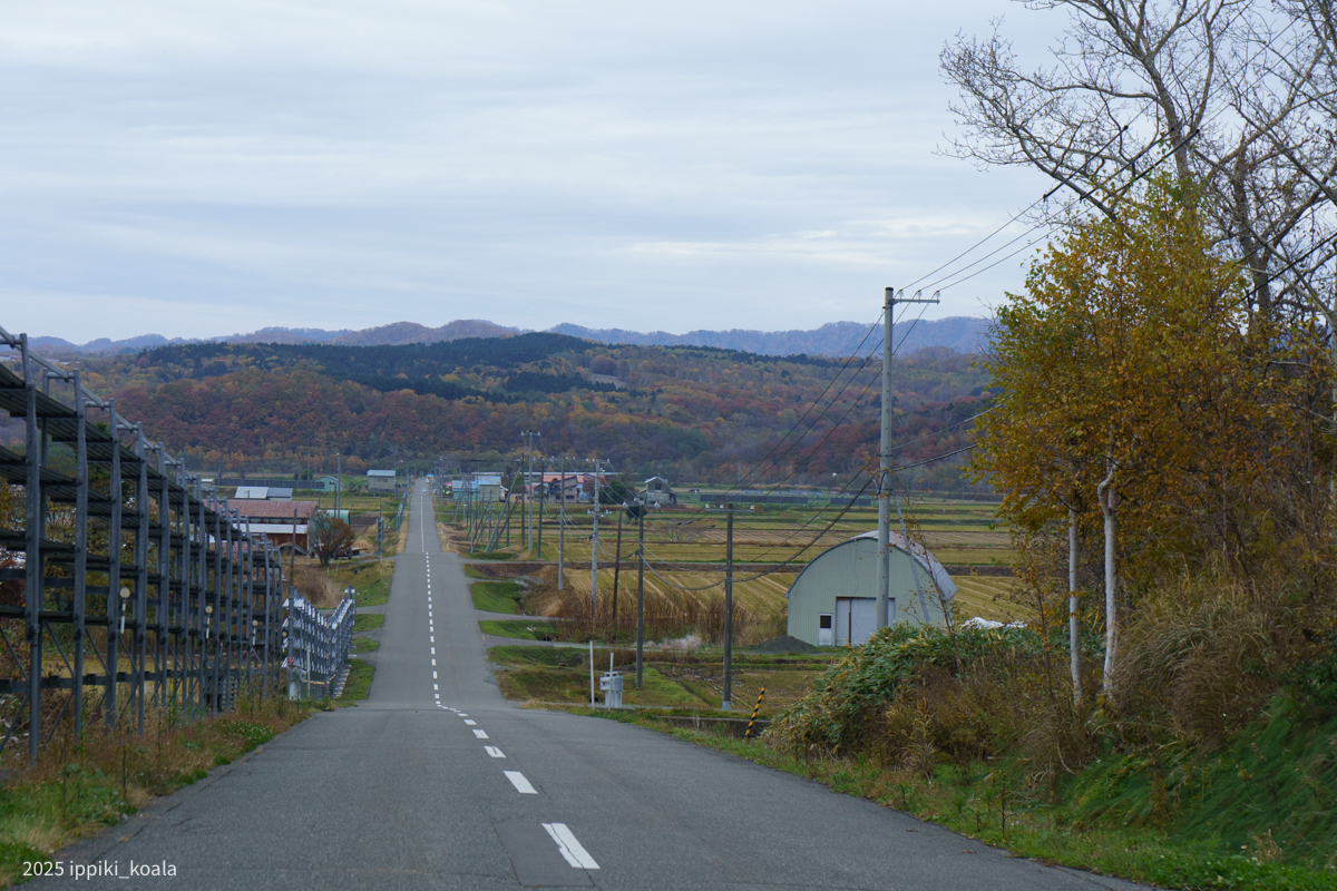 こんな道を通っていく
