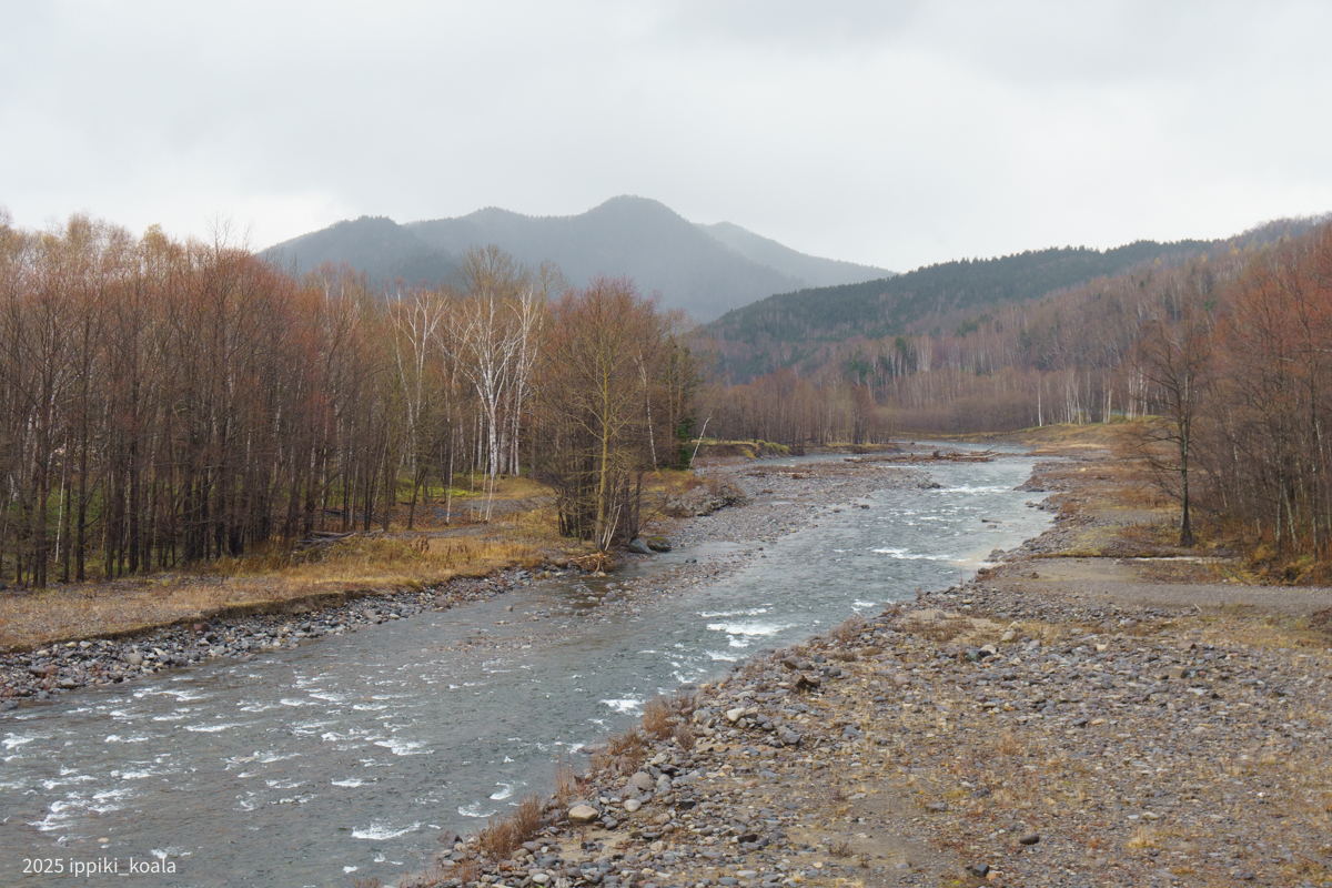 三国峠に近づくにつれ大自然感が増す