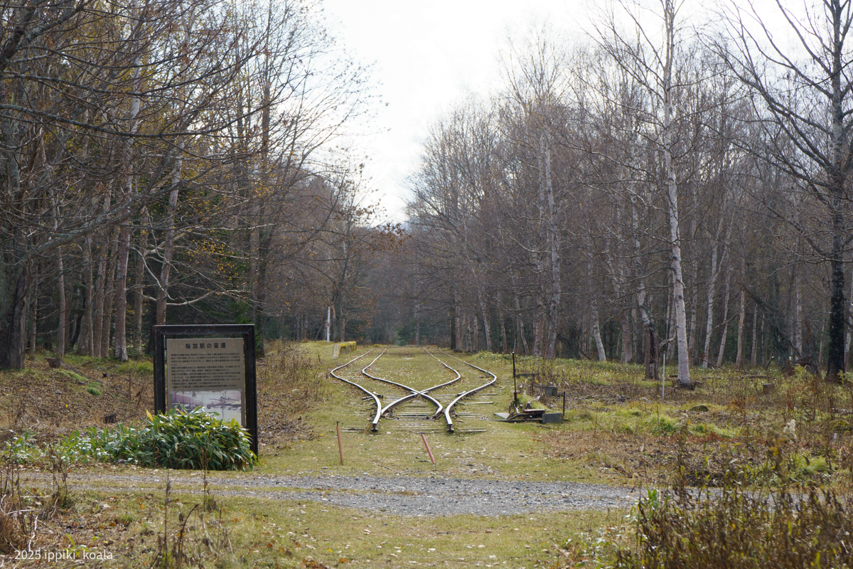 虹が出ていました