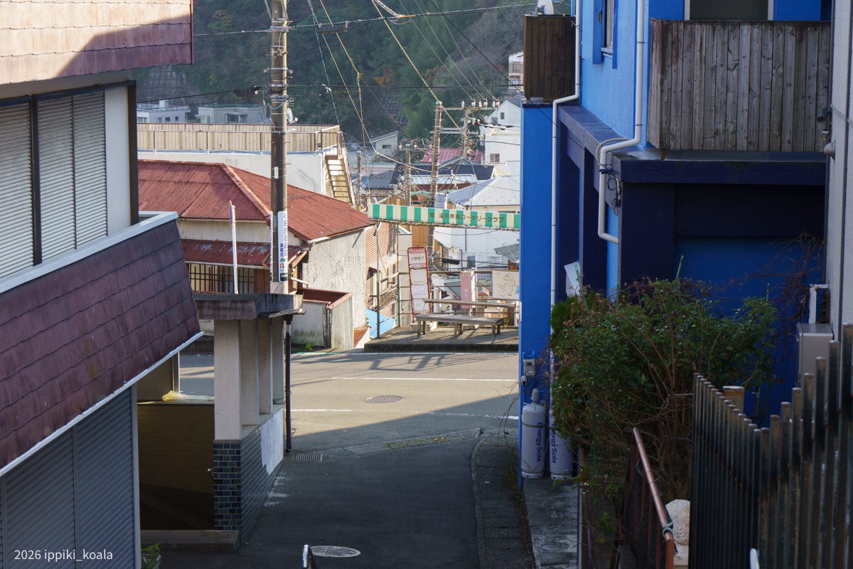 いつ来ても絵になる