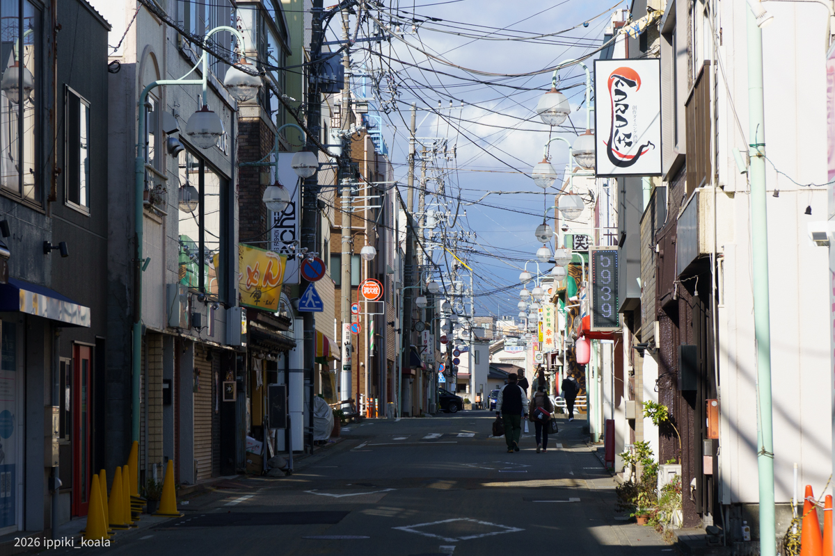 初詣を諦めて源兵衛川へ