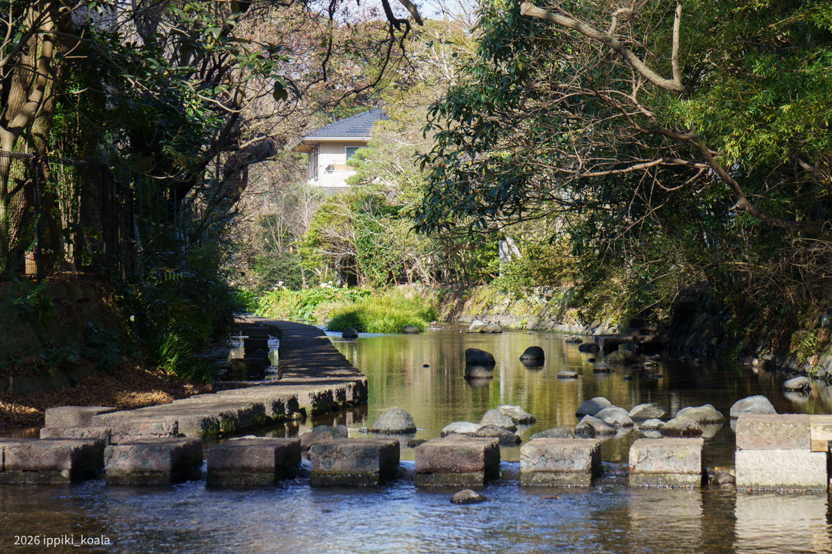 夏は水で遊んでいましたね