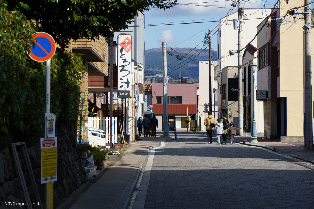 the お正月の雰囲気ですね