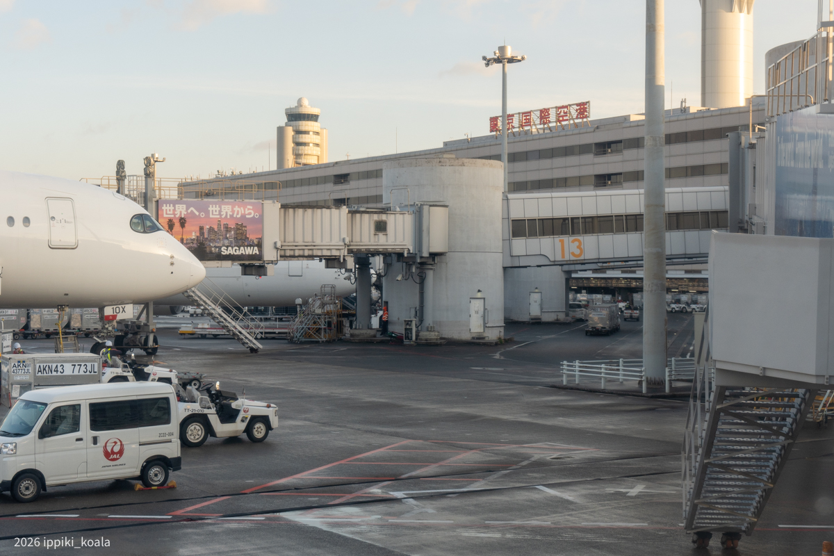 朝日がきれいだった