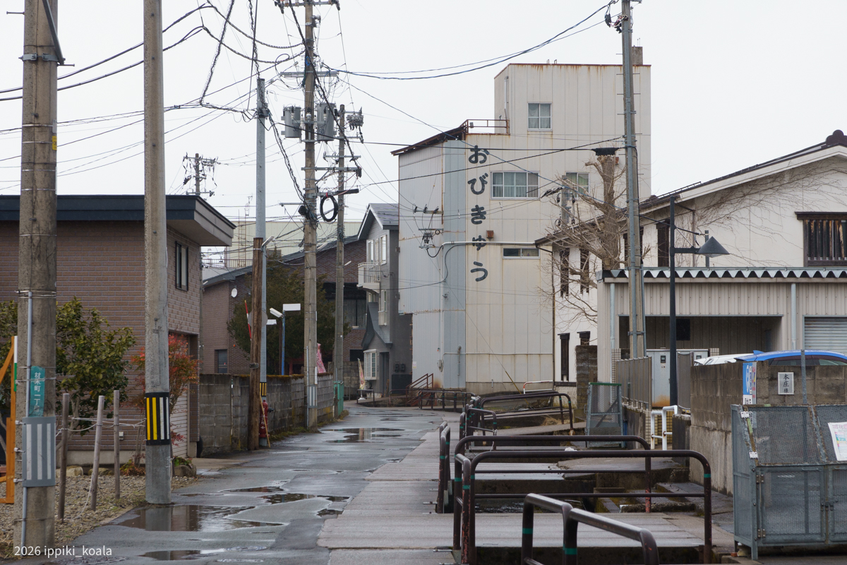 おびきゅうは音楽教室らしい