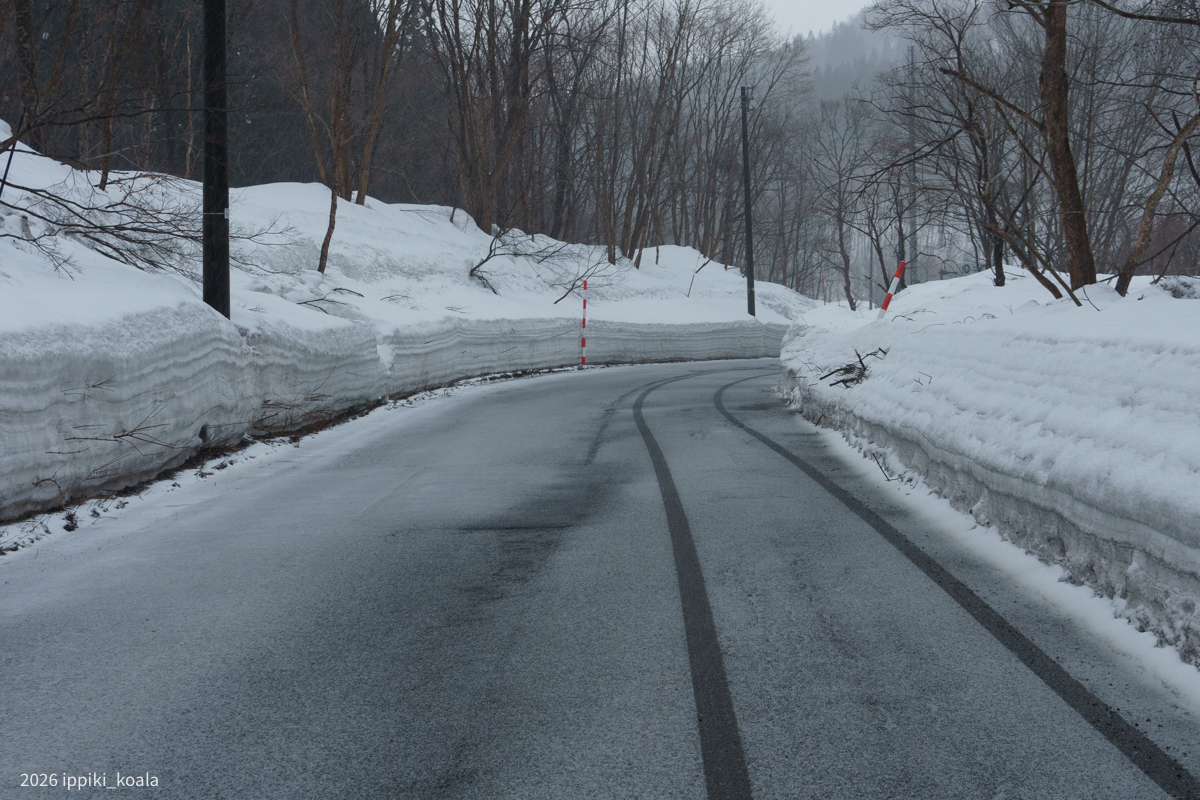 雪って積もるとミルフィーユ状になるんだね