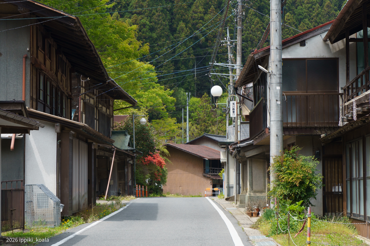 新緑＋花がきれいだったんだよなあ