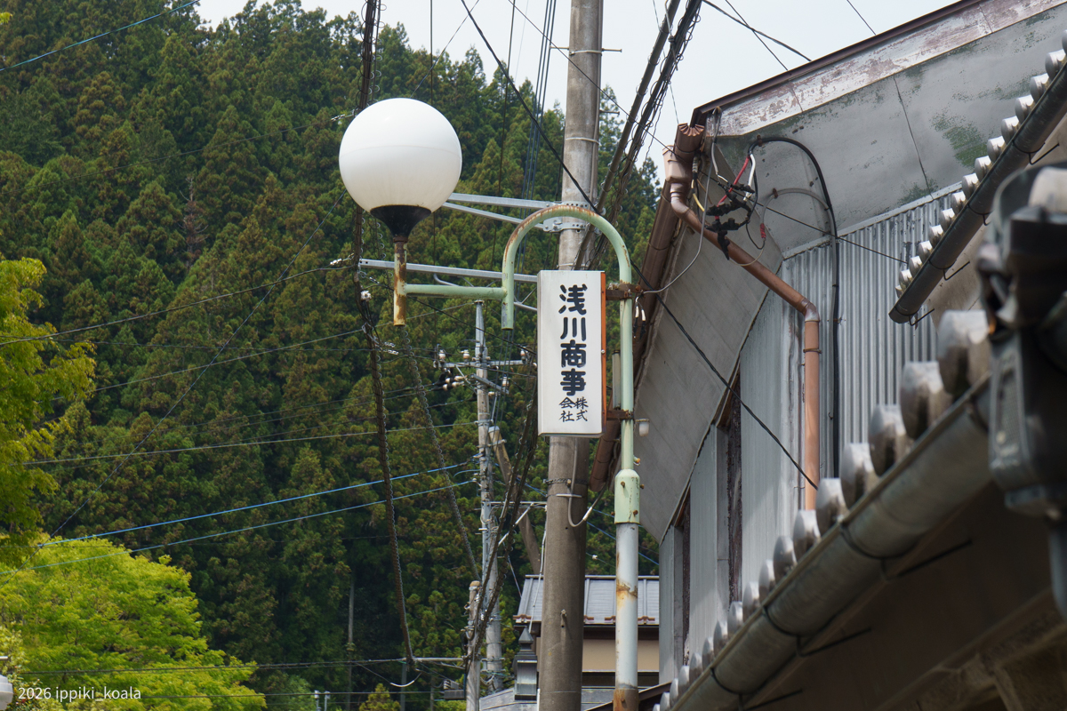 浅川さんは商売上手だったんだろうね