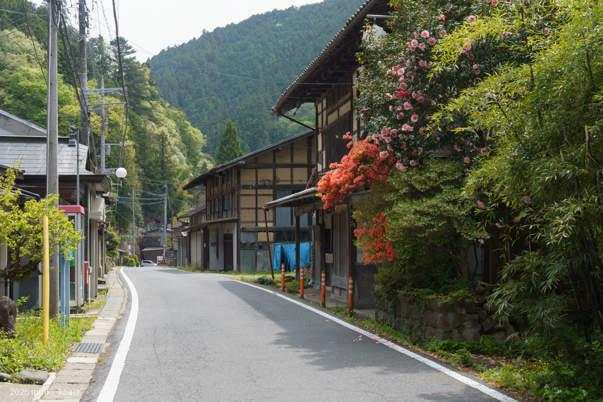 花が咲いているのがいいよね。人がいるのを感じさせる