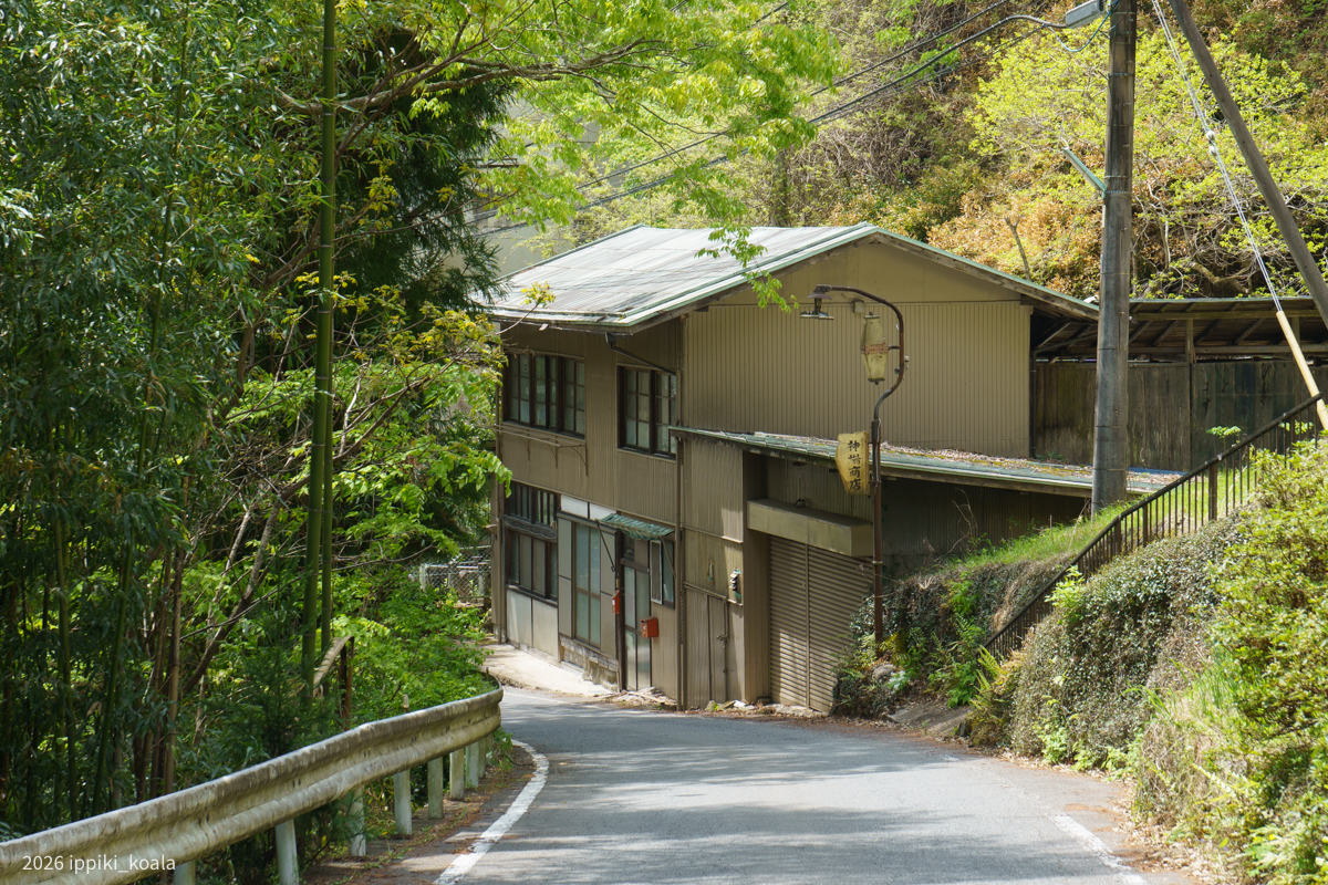 一旦集落を離れて星尾へ向かいます